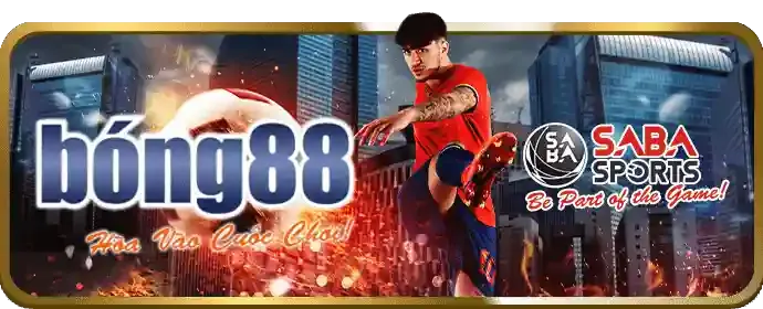 Giao diện quản lý cài đặt cookie